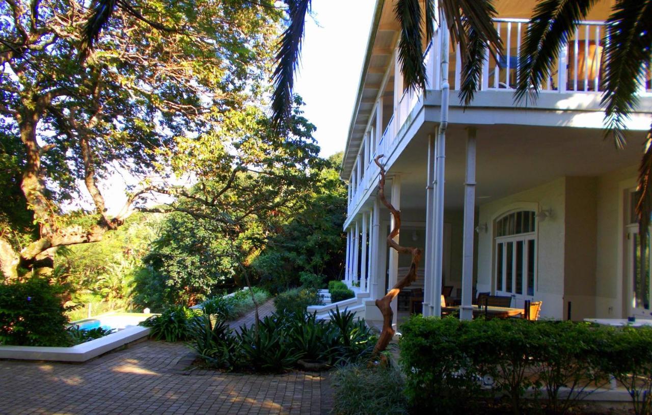 Coral Tree Colony Bed & Breakfast Southbroom Zewnętrze zdjęcie