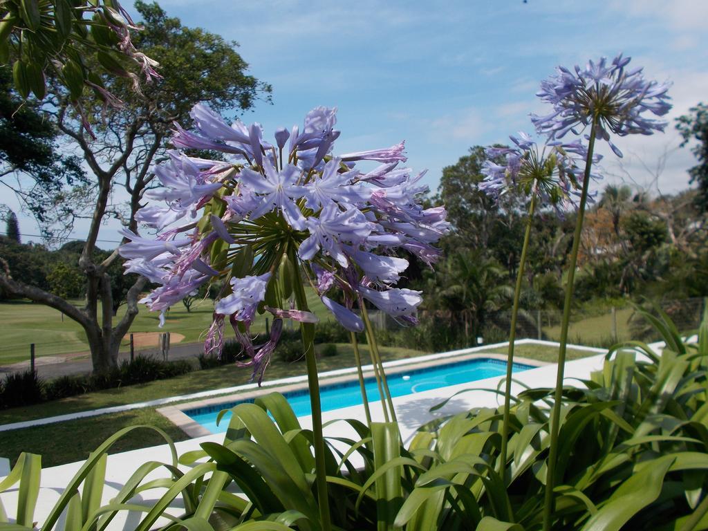 Coral Tree Colony Bed & Breakfast Southbroom Zewnętrze zdjęcie
